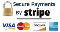 stripe-payments-accepted